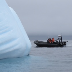 Antarctic / Antarctique